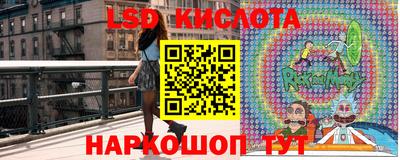 сатива Кандалакша