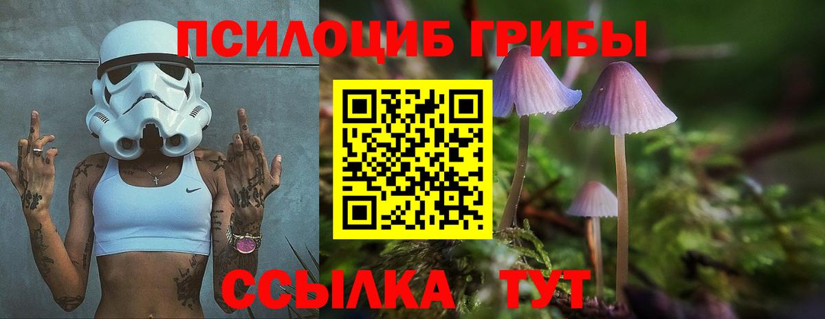 Галлюциногенные грибы MAGIC MUSHROOMS  Псилоцибиновые грибы Psilocybe  Лабинск  Вход с VPN 